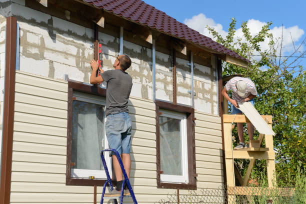 Best Storm Damage Siding Repair  in Lovelock, NV